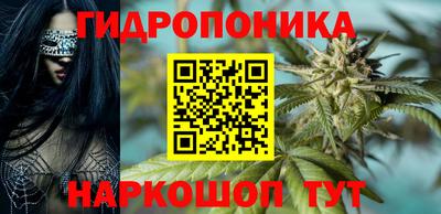 шишки Гусь-Хрустальный